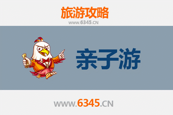 衢州衢江亲子游：探索自然与文化的家庭之旅