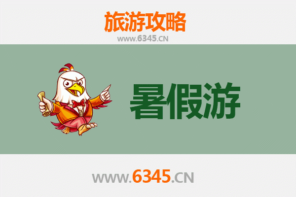 衢州衢江出发探秘西安兵马俑：穿越千年的历史之旅